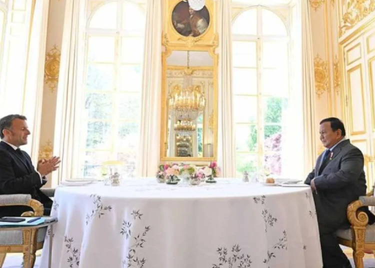 Prabowo dan Macron Sepakati Penguatan Kemitraan Strategis Indonesia–Prancis